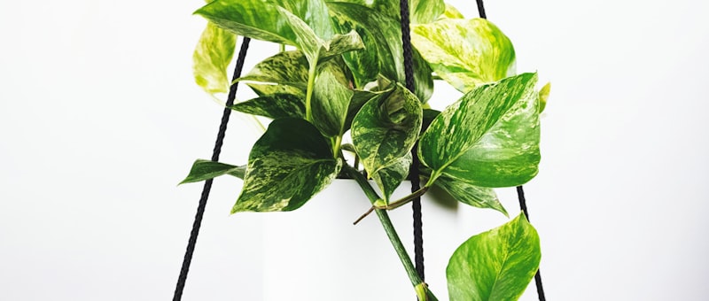 2026世界杯直播画面预览 - 球场内球员激烈拼抢的特写镜头