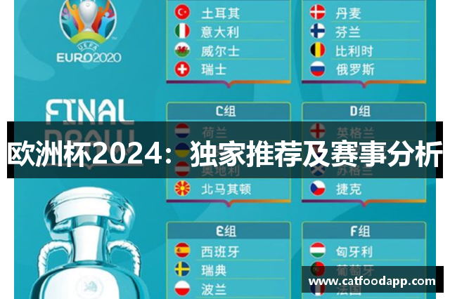欧洲杯2024：独家推荐及赛事分析
